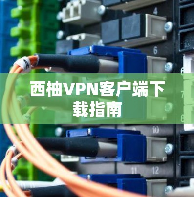 西柚VPN客户端下载指南