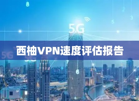 西柚VPN速度评估报告