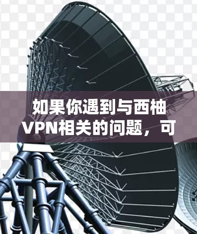 如果你遇到与西柚VPN相关的问题，可以按照以下步骤进行处理