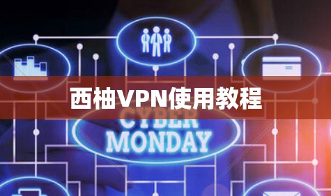 西柚VPN使用教程