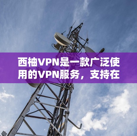 西柚VPN是一款广泛使用的VPN服务，支持在手机端使用。以下是关于西柚VPN手机端的一些信息和指南