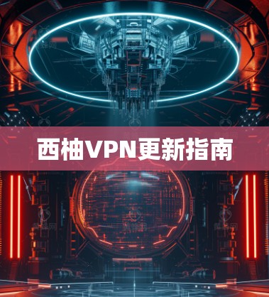 西柚VPN更新指南