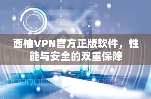西柚VPN官方正版软件，性能与安全的双重保障