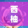 西柚VPN和梯子工具的翻墙软件评测