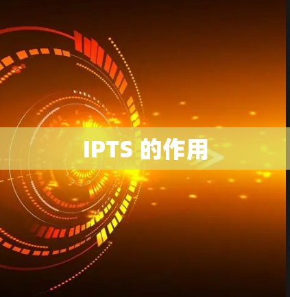 IPTS 的作用
