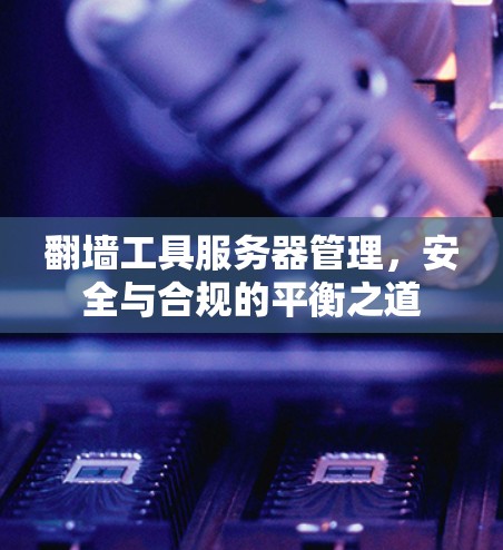 翻墙工具服务器管理，安全与合规的平衡之道