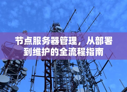 节点服务器管理，从部署到维护的全流程指南