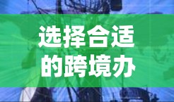 选择合适的跨境办公网络软件对于支持全球团队的协作至关重要。以下是对各个方面的总结和建议