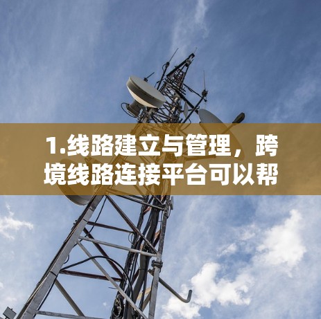 1.线路建立与管理，跨境线路连接平台可以帮助用户在不同国家之间建立高效、稳定的线路连接。这些线路可能包括物流线路、通信线路（如网络或光纤）数据中心之间的连接，或者是跨境的云服务连接