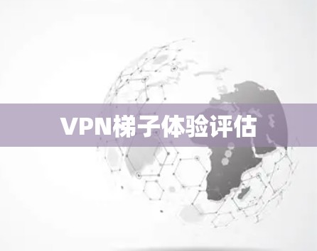VPN梯子体验评估