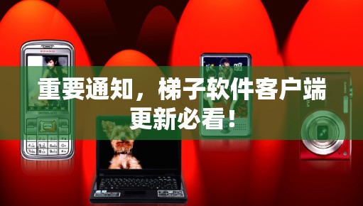 重要通知，梯子软件客户端更新必看！