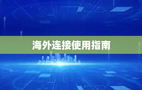 海外连接使用指南