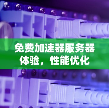 免费加速器服务器体验，性能优化与成本效益分析