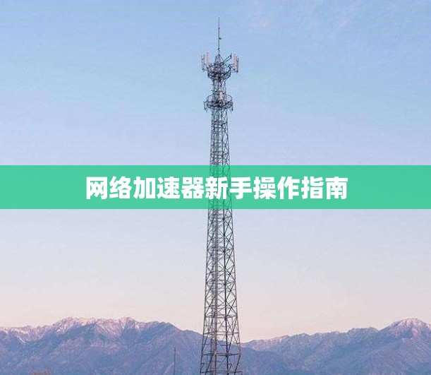 网络加速器新手操作指南