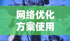网络优化方案使用指南
