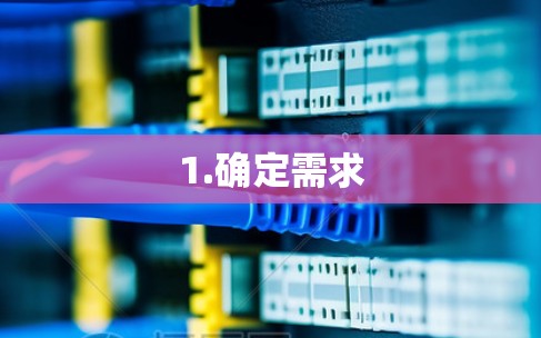 1.确定需求