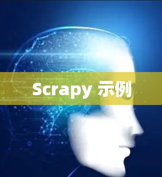 Scrapy 示例