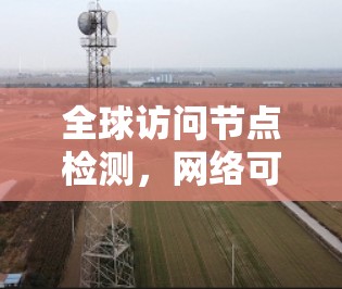 全球访问节点检测，网络可靠性保障的关键技术
