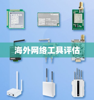 海外网络工具评估