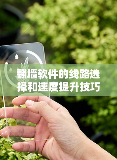 翻墙软件的线路选择和速度提升技巧可以帮助你更好地访问受限的网站或内容，但需要注意遵守相关法律法规。以下是一些常见的线路选择方法和速度提升技巧