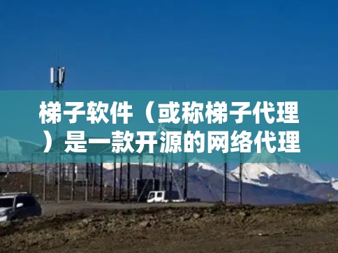 梯子软件（或称梯子代理）是一款开源的网络代理工具，主要用于隐藏真实的网络信息，如IP地址和端口号，通过P2P网络进行数据转发。以下是详细的梯子软件线路切换说明