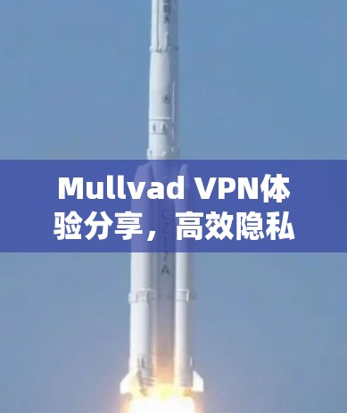 Mullvad VPN体验分享，高效隐私保护配置方法