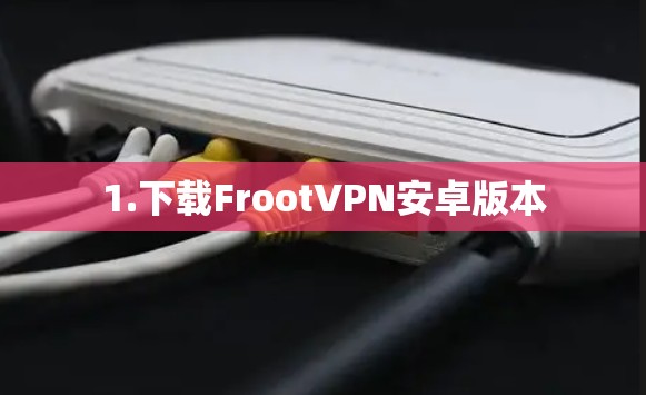 1.下载FrootVPN安卓版本