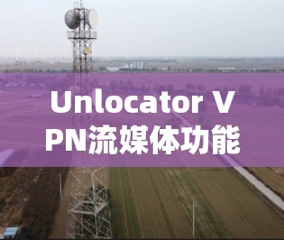 Unlocator VPN流媒体功能解析及用户体验评测
