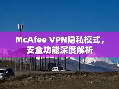 McAfee VPN隐私模式，安全功能深度解析