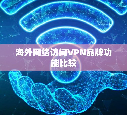 海外网络访问VPN品牌功能比较