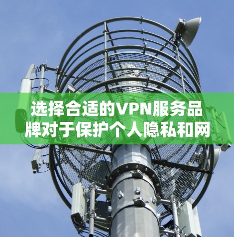 选择合适的VPN服务品牌对于保护个人隐私和网络安全非常重要。以下是根据全球品牌综合评测整理的推荐，供您参考