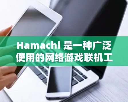 Hamachi 是一种广泛使用的网络游戏联机工具，支持跨平台联机，包括 PC、PS4、Switch 等。以下是使用 Hamachi 进行多人网络连接的详细步骤