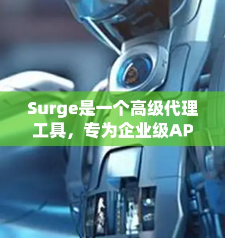 Surge是一个高级代理工具，专为企业级API管理和调试设计，适合处理复杂的API接口和数据接口管理任务。以下是对Surge的详细分析和总结