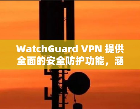 WatchGuard VPN 提供全面的安全防护功能，涵盖了多个关键方面，确保用户的隐私和数据安全。以下是对其功能的详细分析