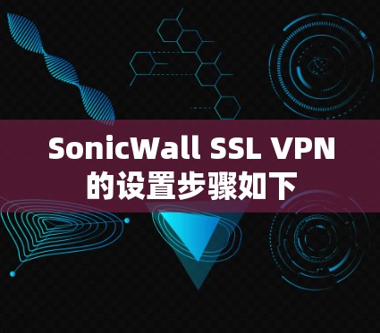 SonicWall SSL VPN的设置步骤如下