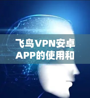 飞鸟VPN安卓APP的使用和翻墙步骤如下