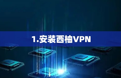 1.安装西柚VPN