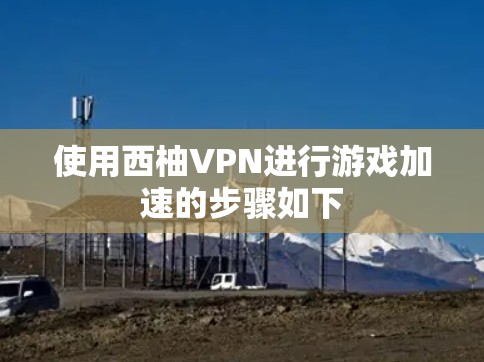 使用西柚VPN进行游戏加速的步骤如下
