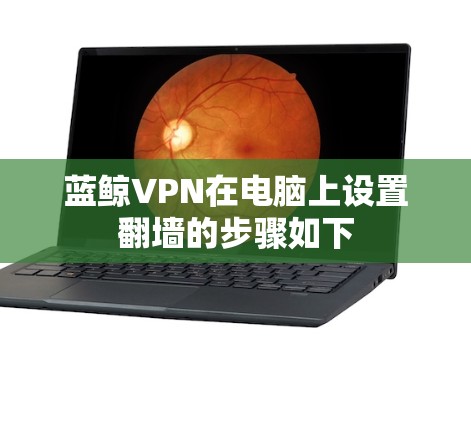蓝鲸VPN在电脑上设置翻墙的步骤如下