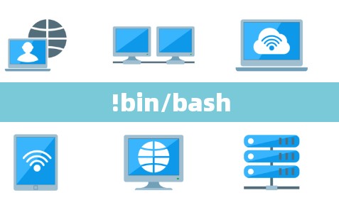 !bin/bash