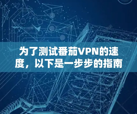 为了测试番茄VPN的速度，以下是一步步的指南