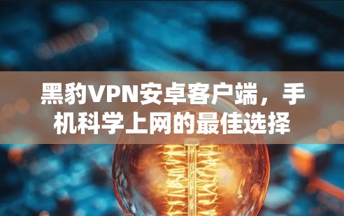 黑豹VPN安卓客户端，手机科学上网的最佳选择
