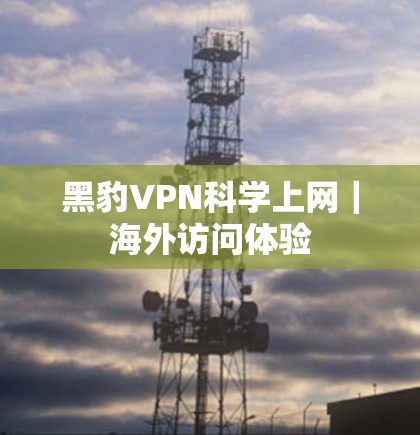黑豹VPN科学上网｜海外访问体验