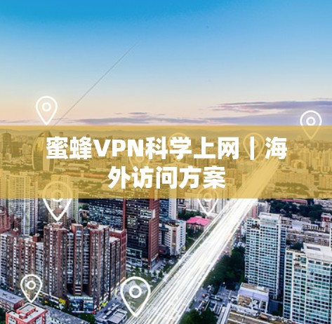 蜜蜂VPN科学上网｜海外访问方案