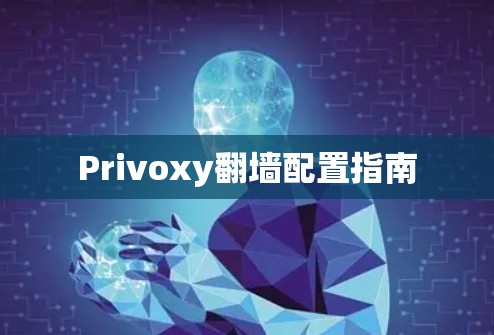 Privoxy翻墙配置指南