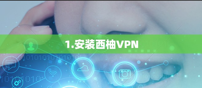1.安装西柚VPN