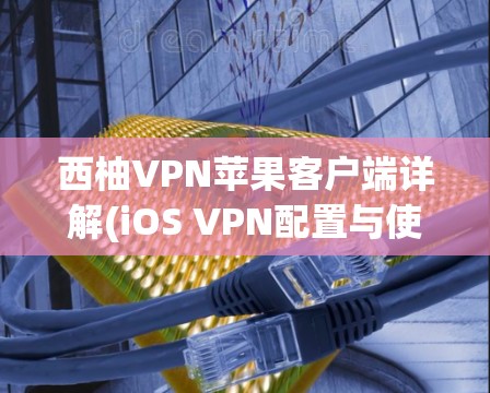 西柚VPN苹果客户端详解(iOS VPN配置与使用教程)