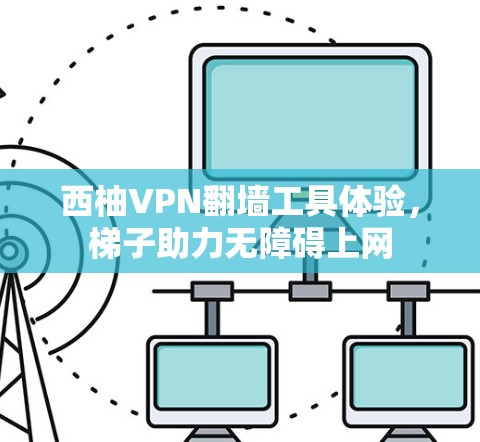 西柚VPN翻墙工具体验，梯子助力无障碍上网