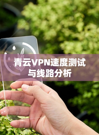 青云VPN速度测试与线路分析