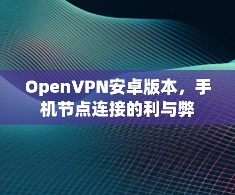 OpenVPN安卓版本，手机节点连接的利与弊